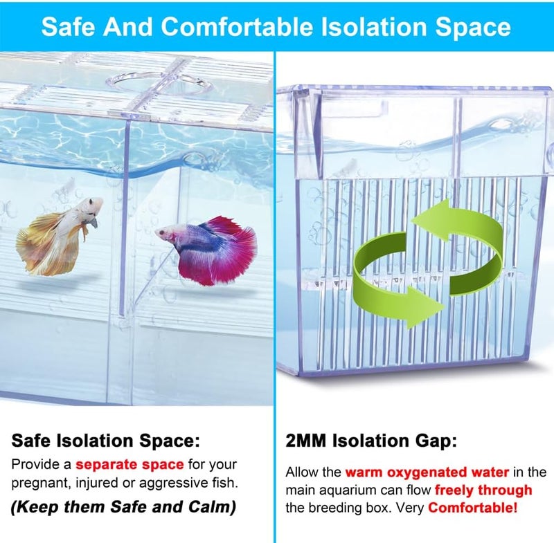 DATOO Fish Breeding Box Aquarium Holding Tank Transparent Fish Isolation Box Acclimation Hatchery Incubator Breeder for Betta Shrimp Clownfish Guppy - Image 4